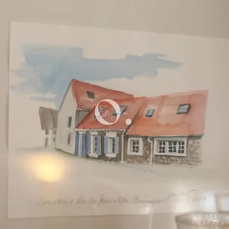 Coc - Bleu D'opale *