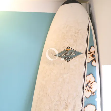 Coc - Bleu D'opale Semesterbostad *