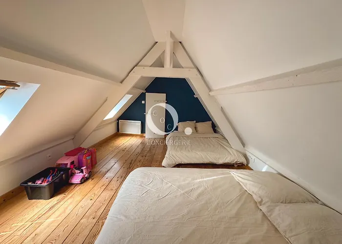 Coc - Bleu D'opale Wissant