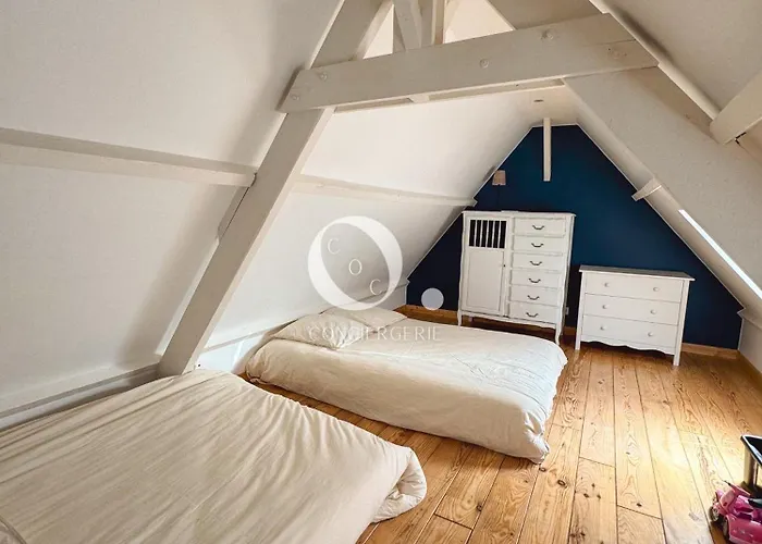 Coc - Bleu D'opale Wissant